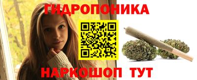 эйфоретик Славгород