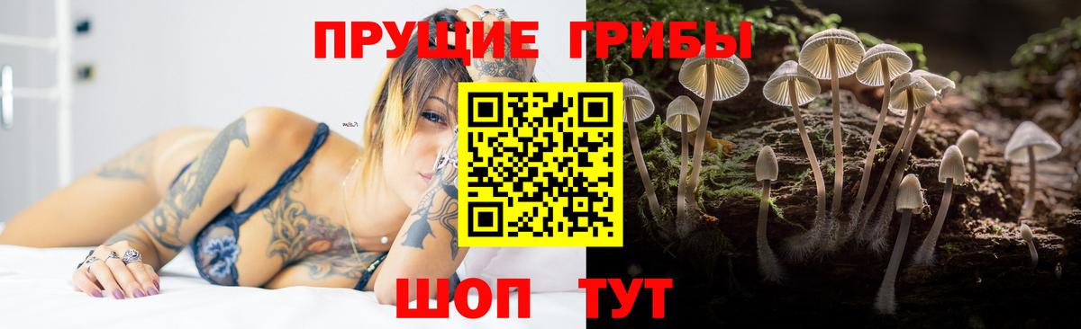 Назарово  Псилоцибиновые грибы Psilocybe  Вход с VPN 